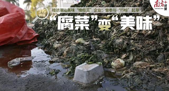 广州食品安全之315橄榄菜事件