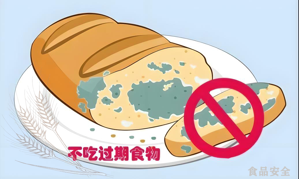 东莞食品销毁| 食品安全宣传