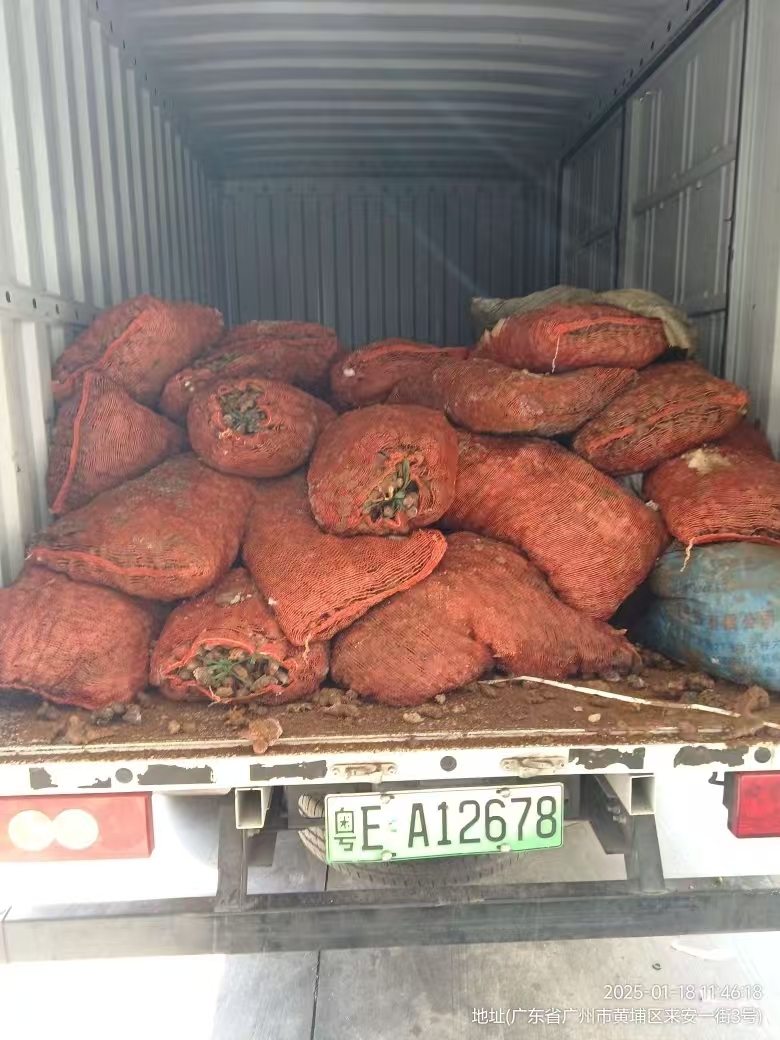 东莞菊芋销毁，库存积压食品销毁 